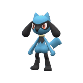 Riolu - Pokestar
